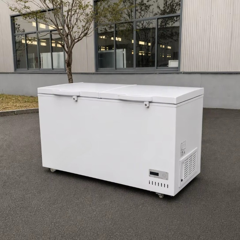 Congélateur coffre horizontal  - Commercial Chest Freezer avis et prix