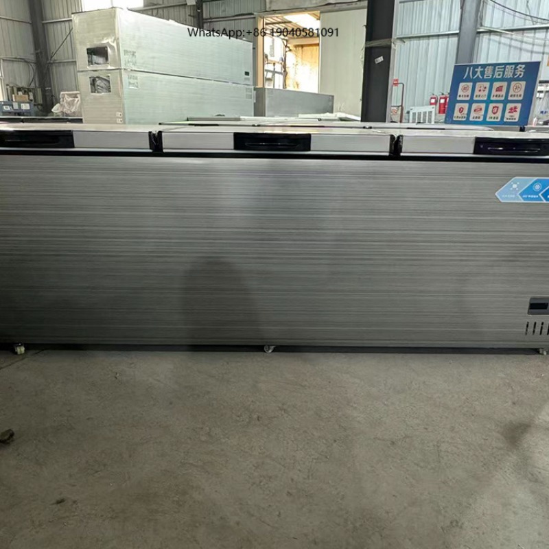 Congélateur horizontal commerc - Commercial Chest Freezer avis et prix