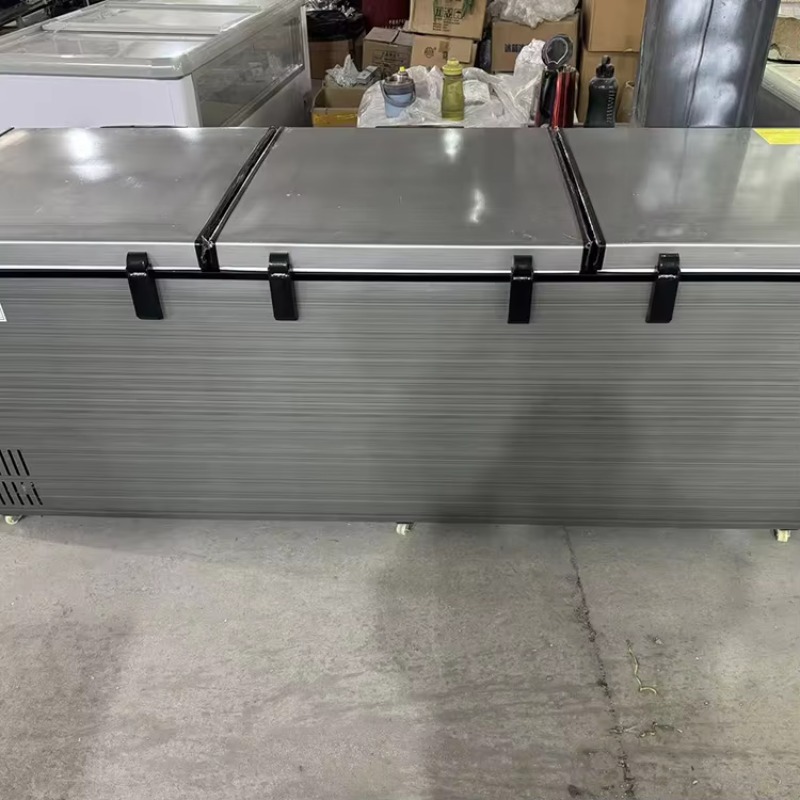 Congélateur horizontal commerc - Commercial Chest Freezer avis et prix