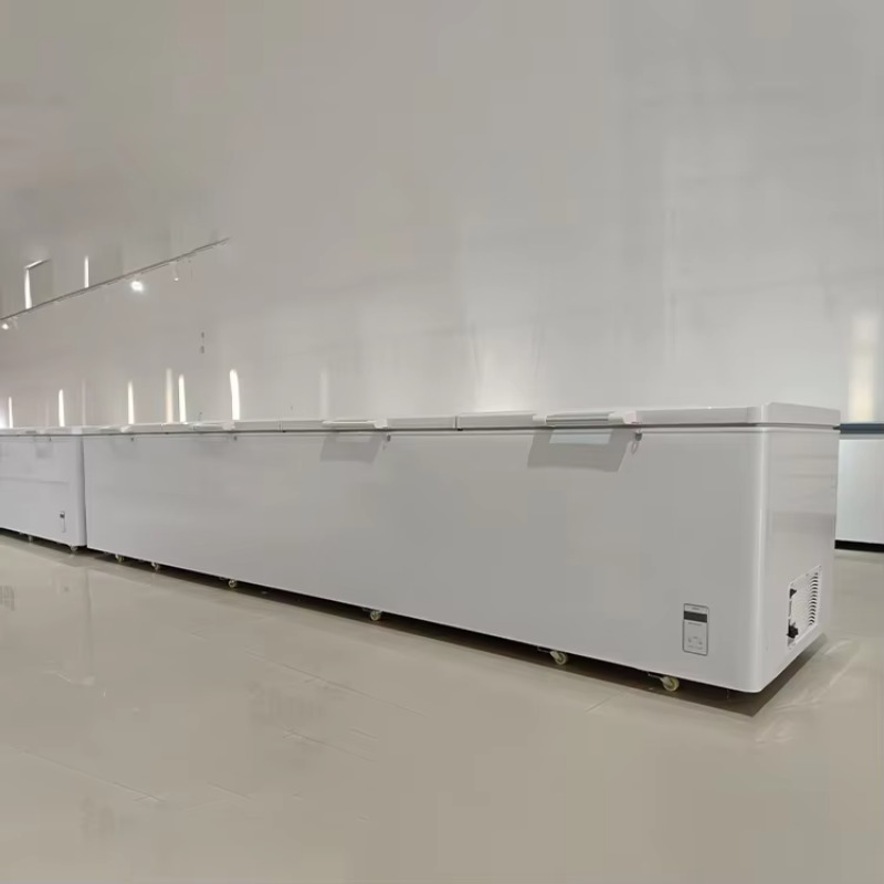 Congélateur coffre horizontal  - Commercial Chest Freezer avis et prix